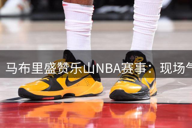 马布里盛赞乐山NBA赛事：现场气氛令人惊叹